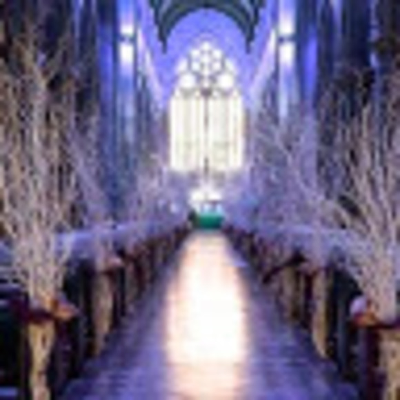 Meet your Posher, Eneyda - Picture 1 of 1